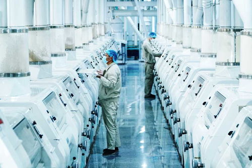 上半年首农食品集团经营质效稳步提升，食品经营实现高质量发展