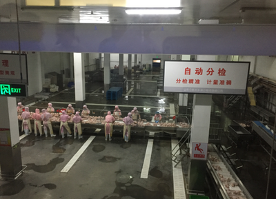 食品源头一扫就知晓，德州织密食品安全信息追溯'一张网'